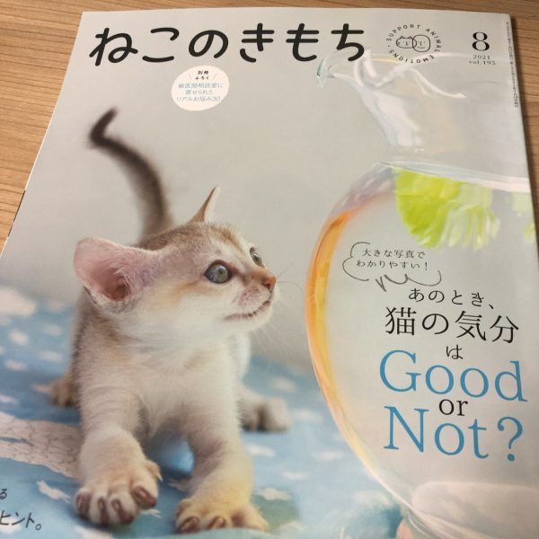 ねこのきもち7月号、8月号、9月号、各号付録セット - 猫用品